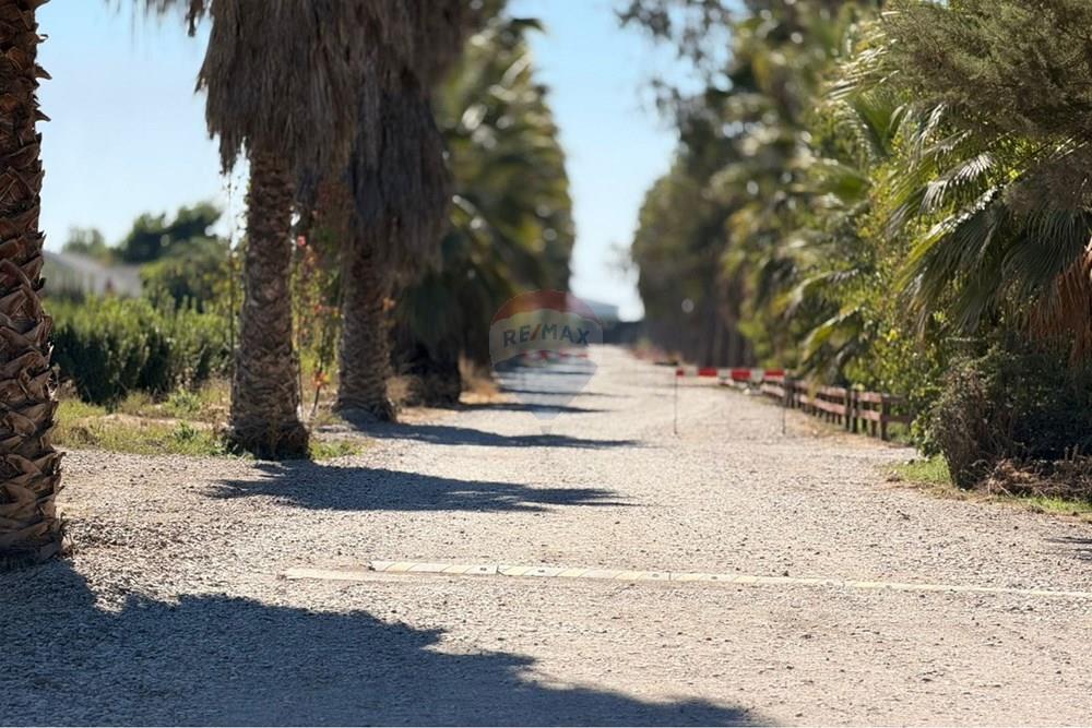 Parcela de agrado · Venta · fotografía 5 de 18